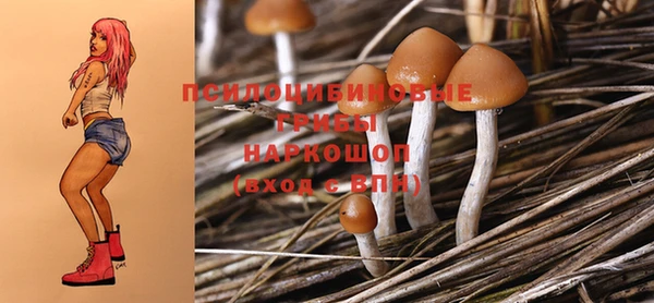 метадон Белокуриха