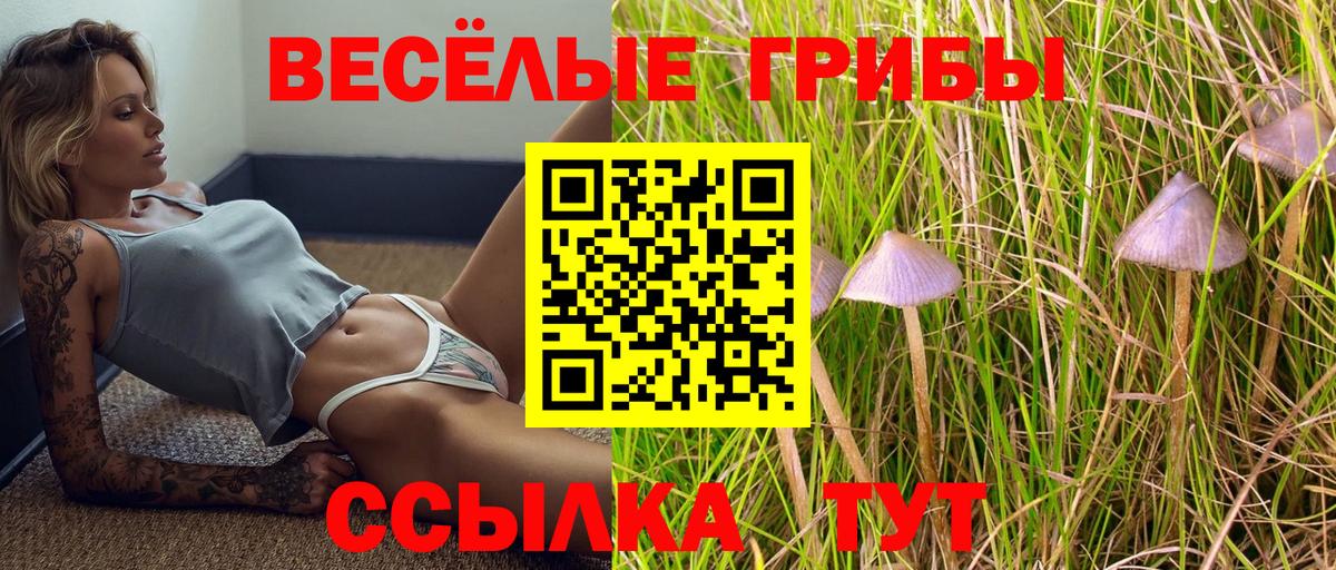Вятские Поляны  Галлюциногенные грибы MAGIC MUSHROOMS  где купить наркоту  Вход с VPN 