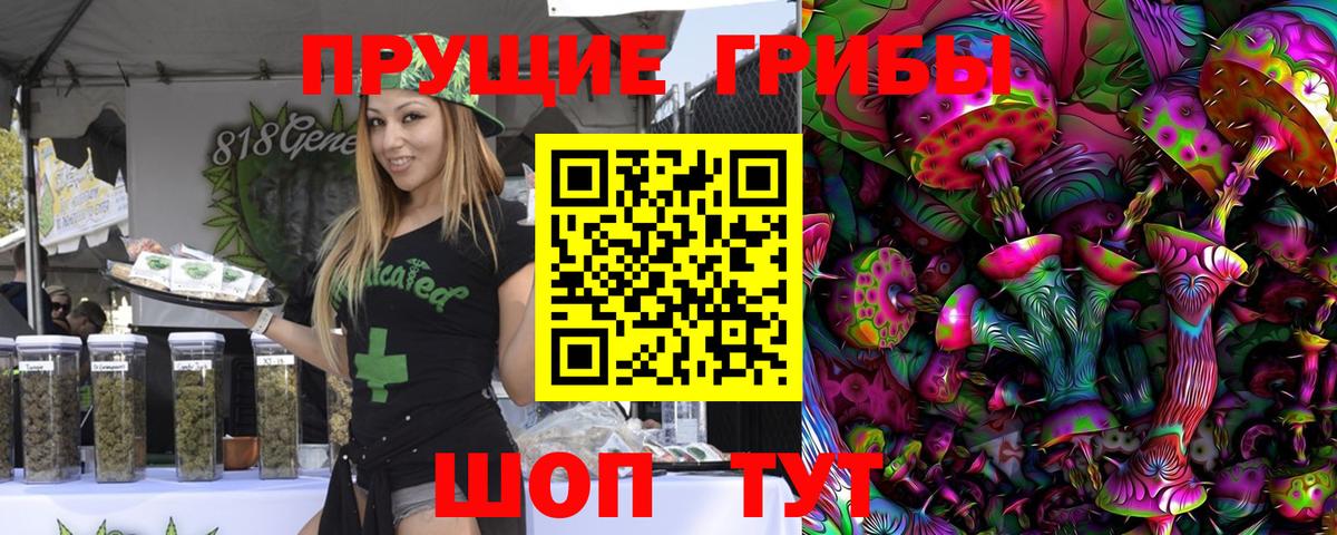 Альфа ПВП Вятские Поляны