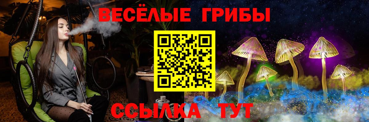 Псилоцибиновые грибы ЛСД  Вятские Поляны 