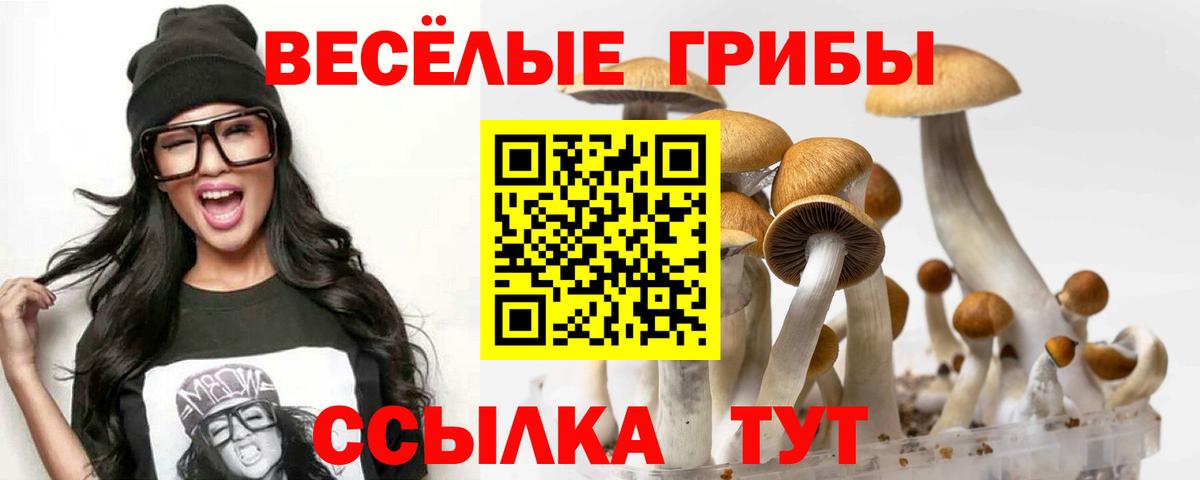 Псилоцибиновые грибы Cubensis Вятские Поляны